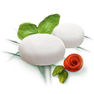 piadina di mozzarella