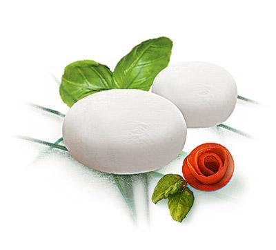 piadina di mozzarella