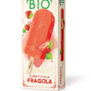 Aardbeien sorbet Bio - 30x70g.